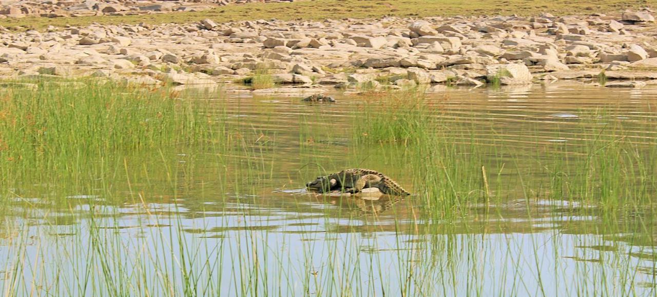 Bhadrawati - A Riverside Safari Lodge Ranthambore Extérieur photo